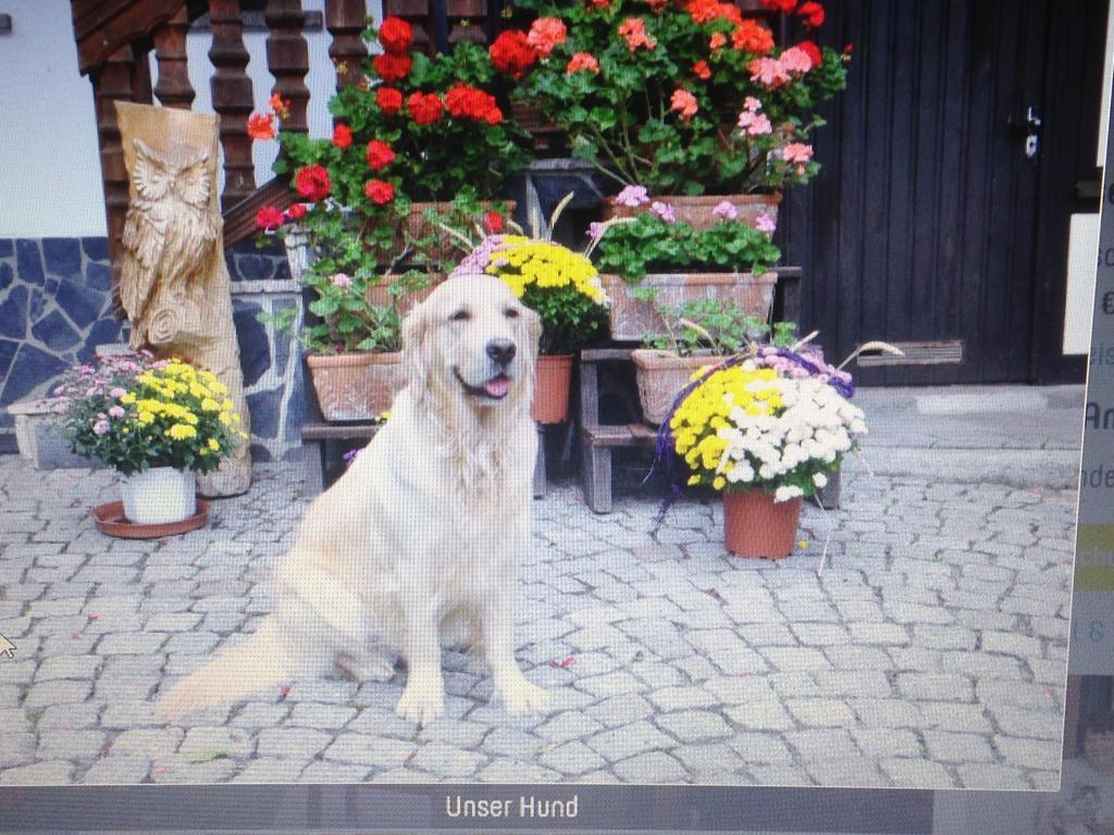 Dietlinde *