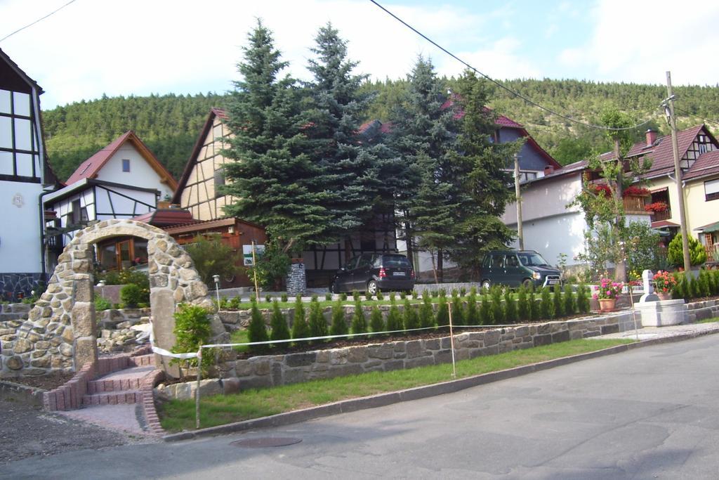Dietlinde Apartment Bad Blankenburg